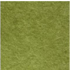 color 9005