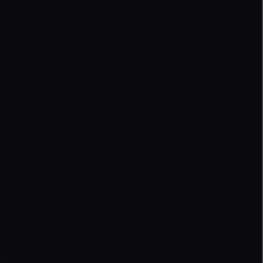 color 9005